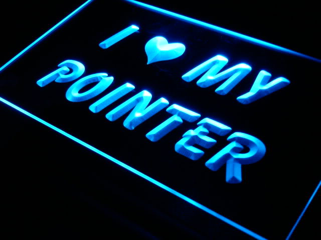 I Love My Pointer Dog Pet Shop Neon Light Sign